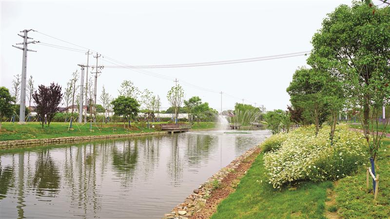 濱湖山水城境內河道優(yōu)Ⅲ類水達82.02% 43條門前家河“重回青綠”