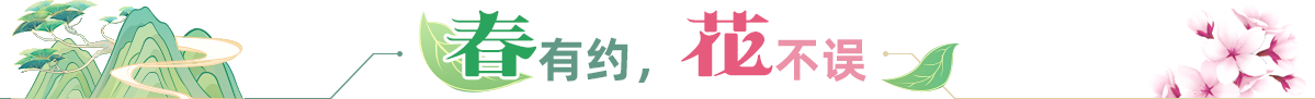 春有約，花不誤