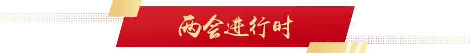兩會(huì)進(jìn)行時(shí)